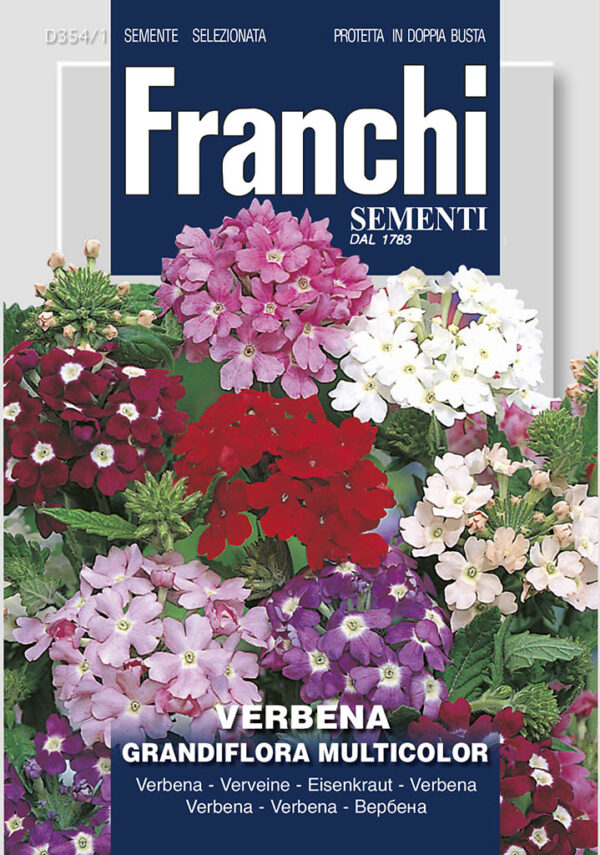 Verbena – GRANDIFLORA MIX