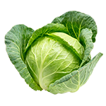 Kapusta