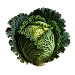 Kel