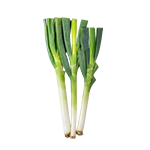 Pór