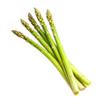 Špargľa