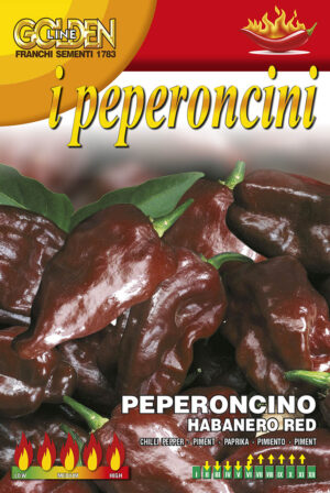 Chilli - Habanero chocolate