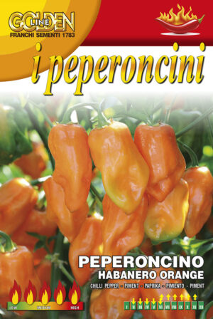 Chilli - HABANERO ORANGE