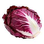 Čakanka