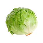 Šalát ľadový