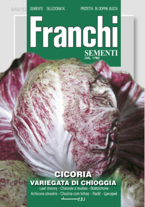 Čakanka Variegata di chioggia