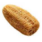 Luffa