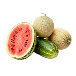 Melón