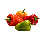Paprika