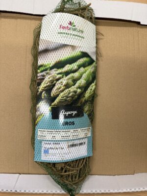 ŠPARGĽA - zelená - EROS - korene k sadbe/10 ks