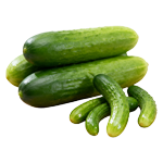 Uhorky